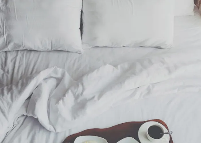 酒店 马尔科酒店 2*